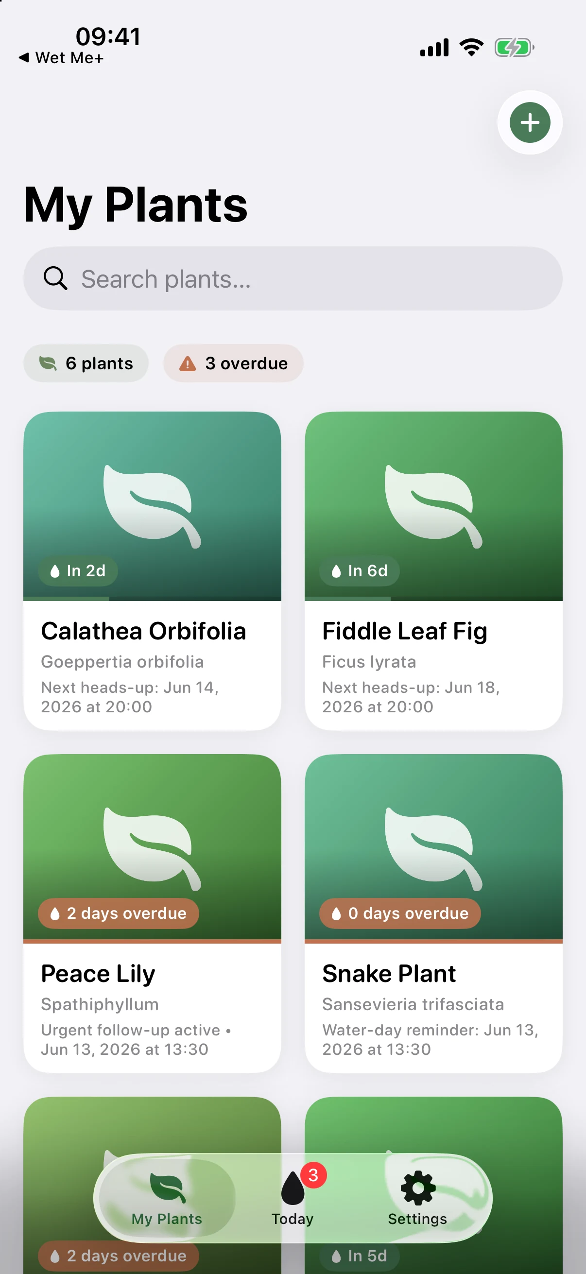 WetMePlants home grid showing six houseplants as cards with leaf artwork, species names and watering-status badges like 'In 2d' and '2 days overdue', plus '6 plants' and '3 overdue' summary chips.